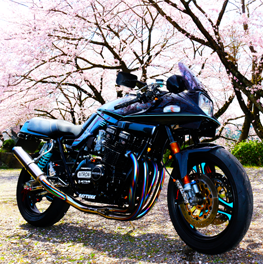 SHABONDAMA SALE/CAMPAIGN